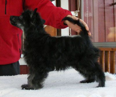 Princess Leia's Man In The Mirror