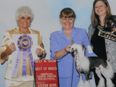 CH Silvercreek's Friendship Is Golden