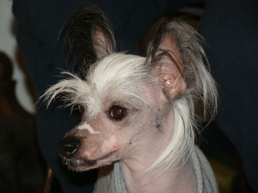 Baby Pearl Oscar De La Renta