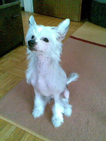 Be My Sunshine Lo-fe