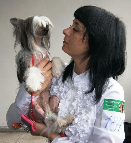 Bjanka Favola (Shosha)