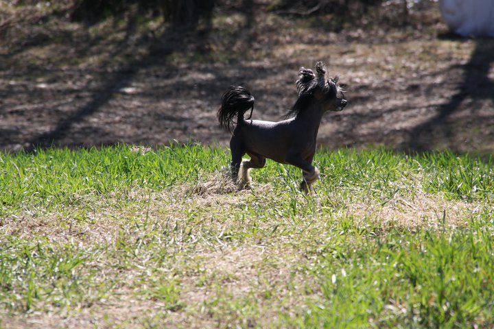 Casa Del Caboom's Dark Danger