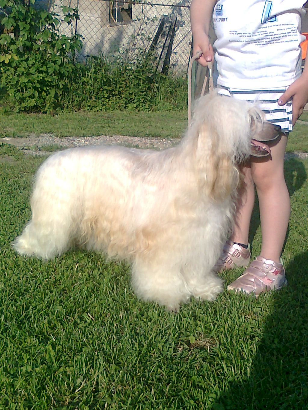 Festival Alexa Lachesis