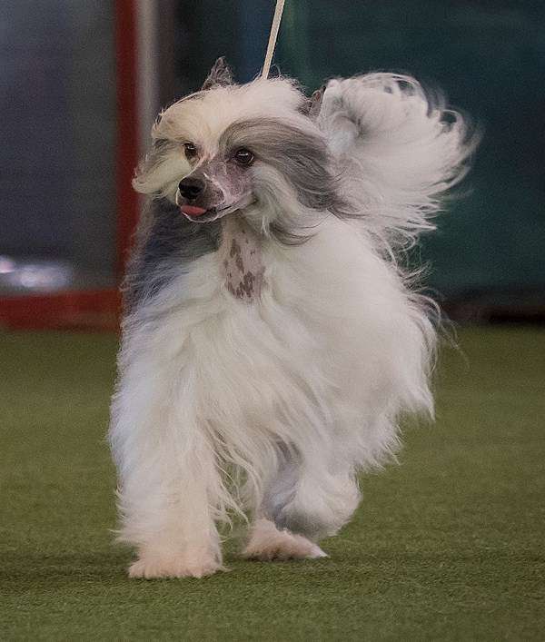 Burbbon Milfra-Moravia