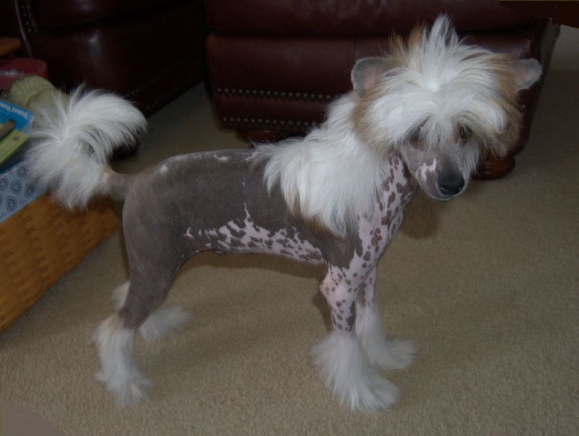 Faetura Come What May