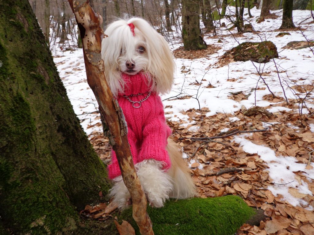 Final Fantasy Miss Fluffy