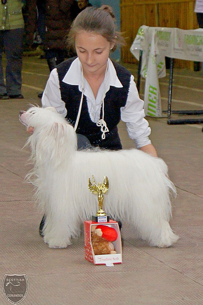 Nyu Art TSatsa - Krasotulya Vibrazhulya