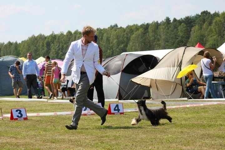 TRABKA Argoel Next Germanika