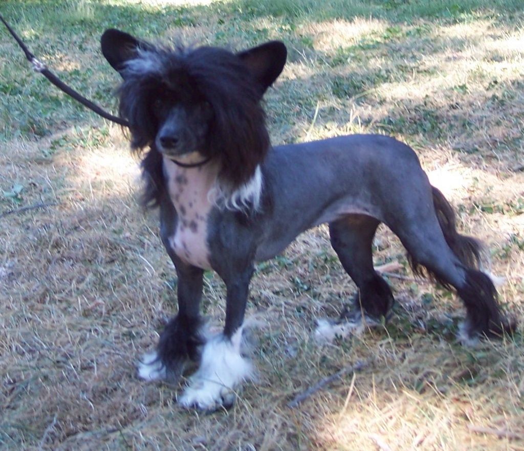 Creekside's Fast Lane