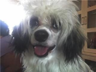 Philandiane "Do what you like"