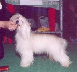 La Votre Bell Hellhaund