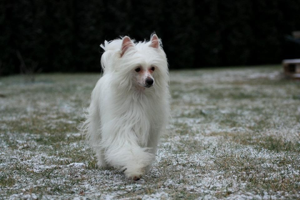 MAGNUS od Zbojnika Ondraszka