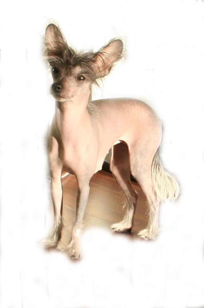 Pumopechi's Leona Lemine