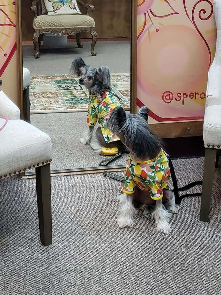 Cinondra's Lookin' For Adventure