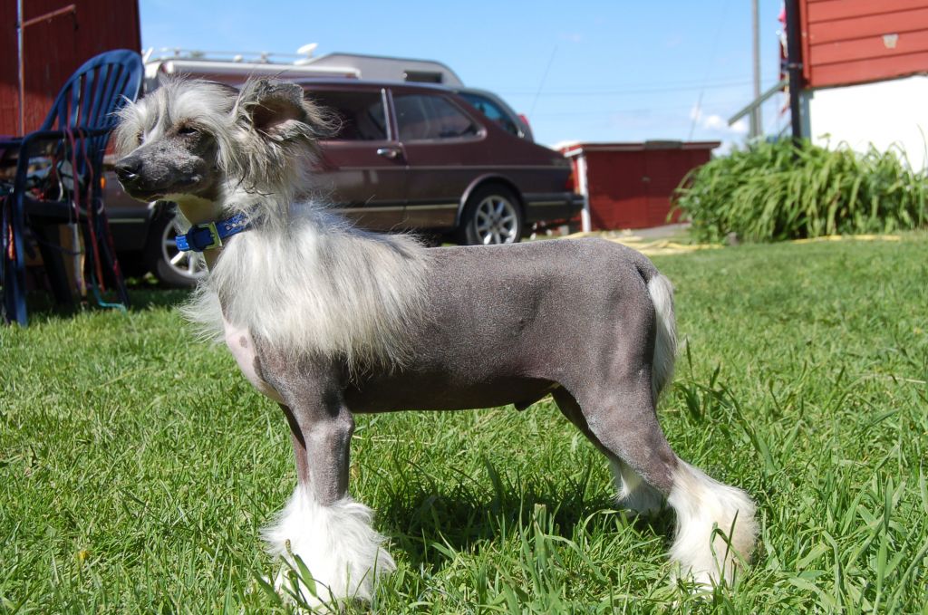 Poulot's Coming To You