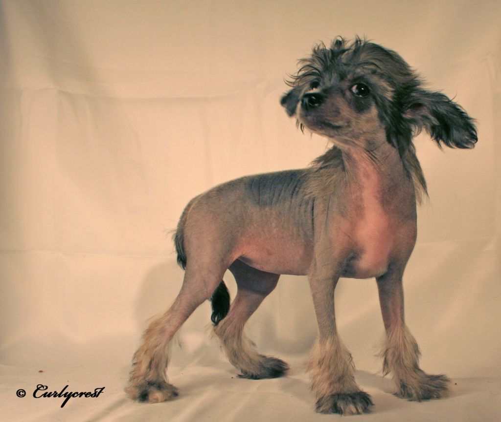 Poulot's Cant Let Her Get Away