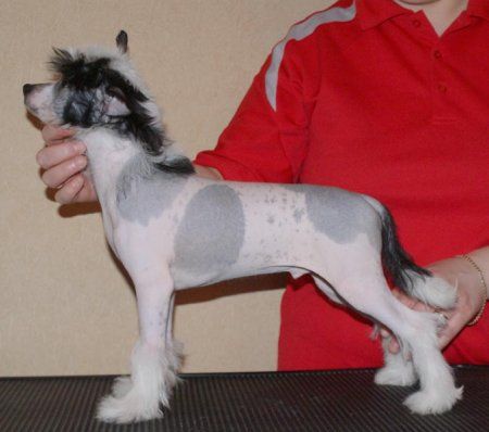 Polar Shane Vilyam All Fo Y