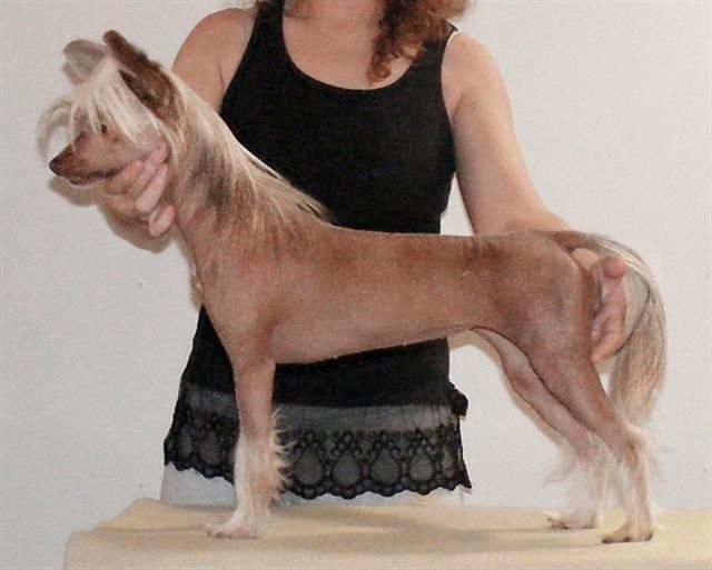 Lesmars Sweet Little Kiss