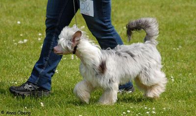 Bed'ykins Aladdin Sane