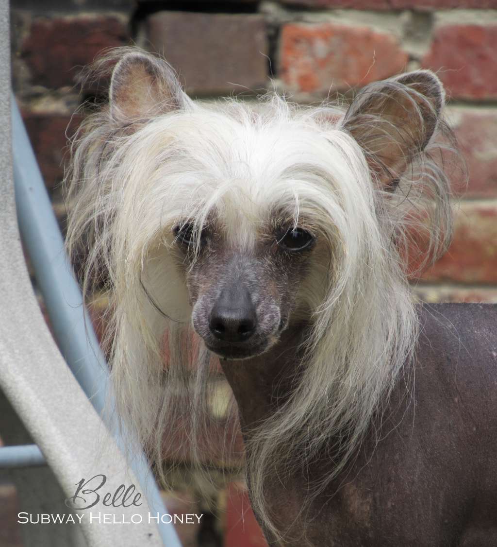 Subway Hello Honey