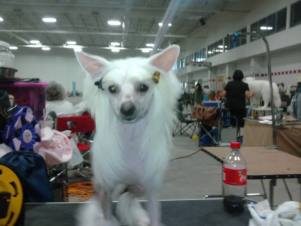 Daretobebare R Little Secret ByDezign