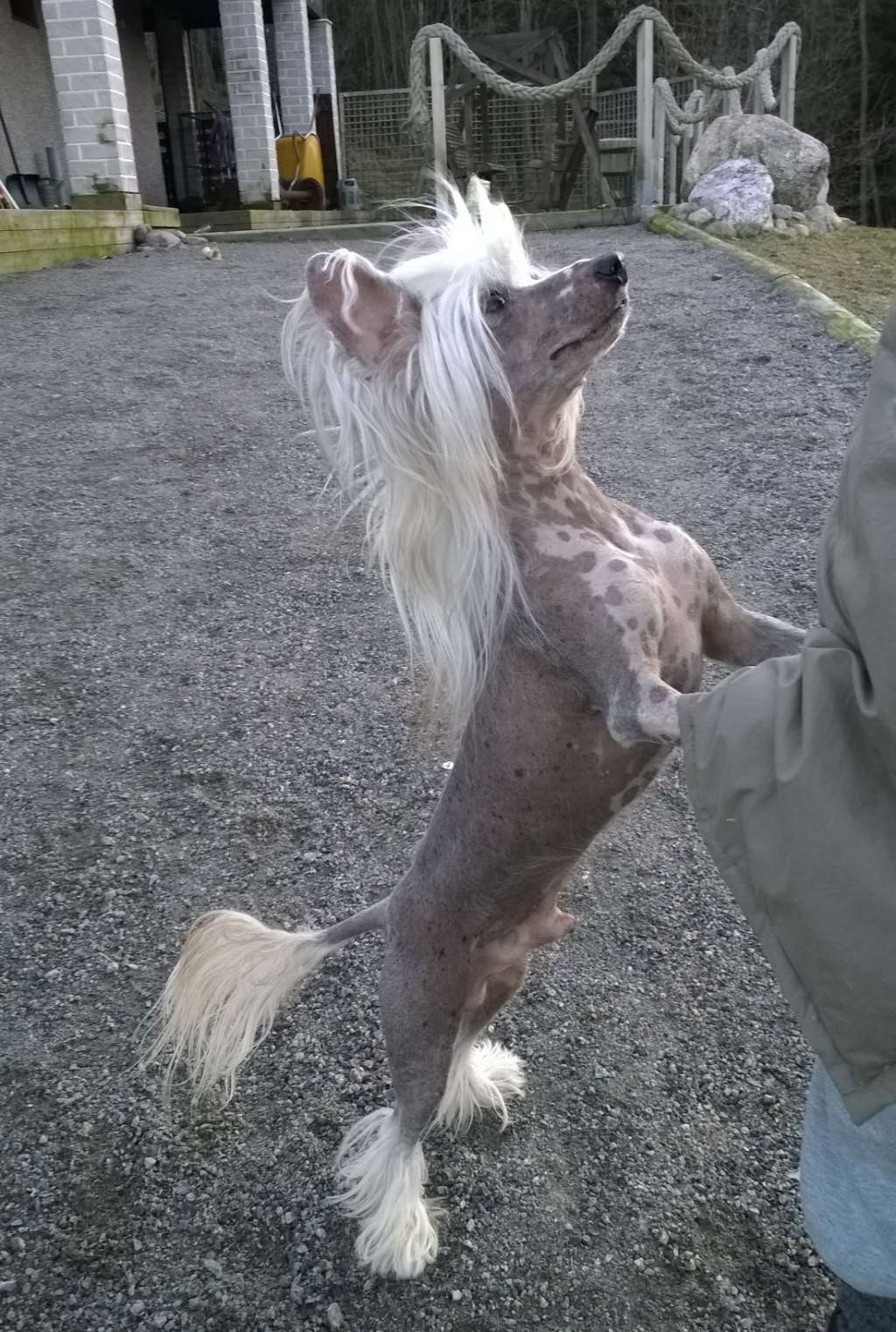 Koskjon Beginning Of Prefix