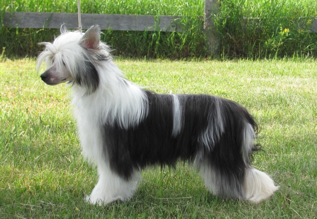 Bodeswell Handle with Care