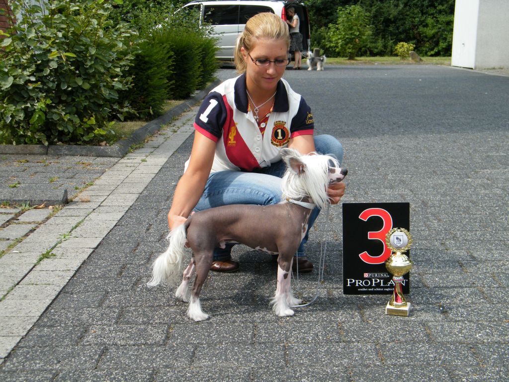 EverCrest-Jrf Ready to Rumble