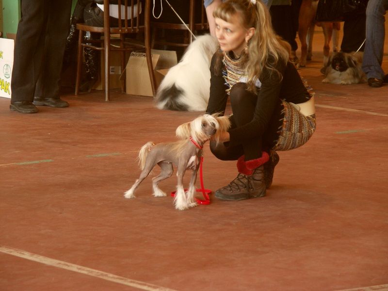 La Votre Belle Tsarevna Katarina