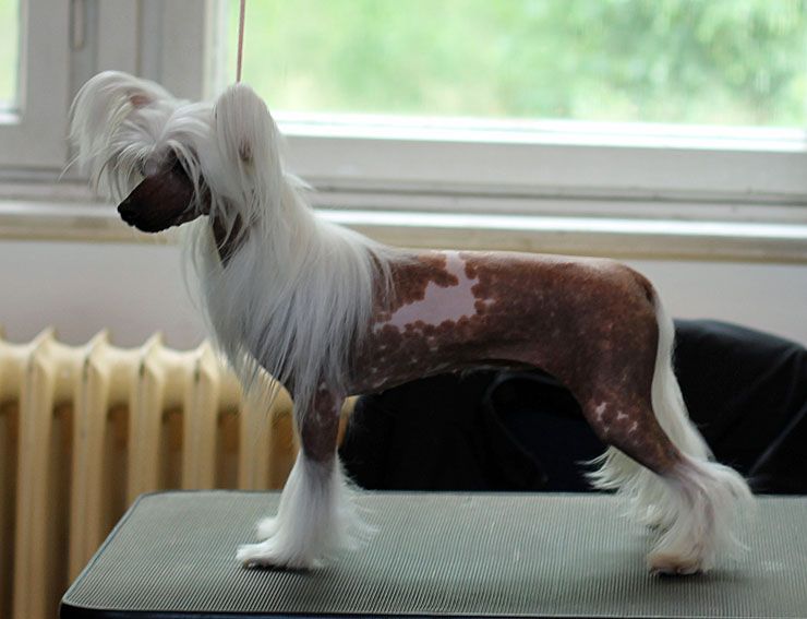 Subway How Do You Do