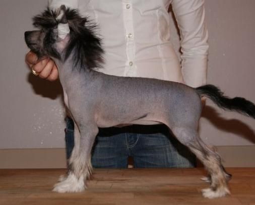 ..................z Bajki Agnieszki