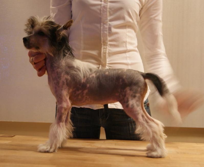 .............z Bajki Agnieszki