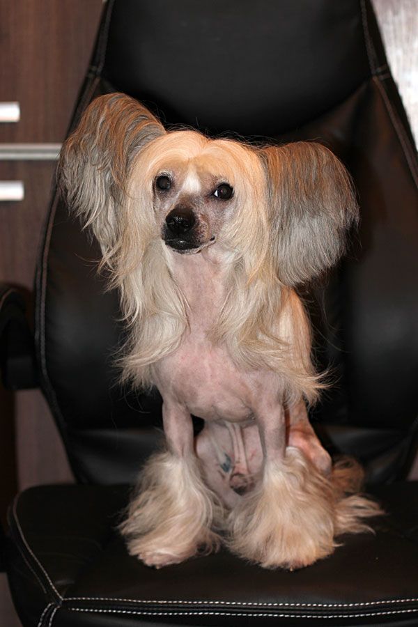 Showplace Epoch-Making 