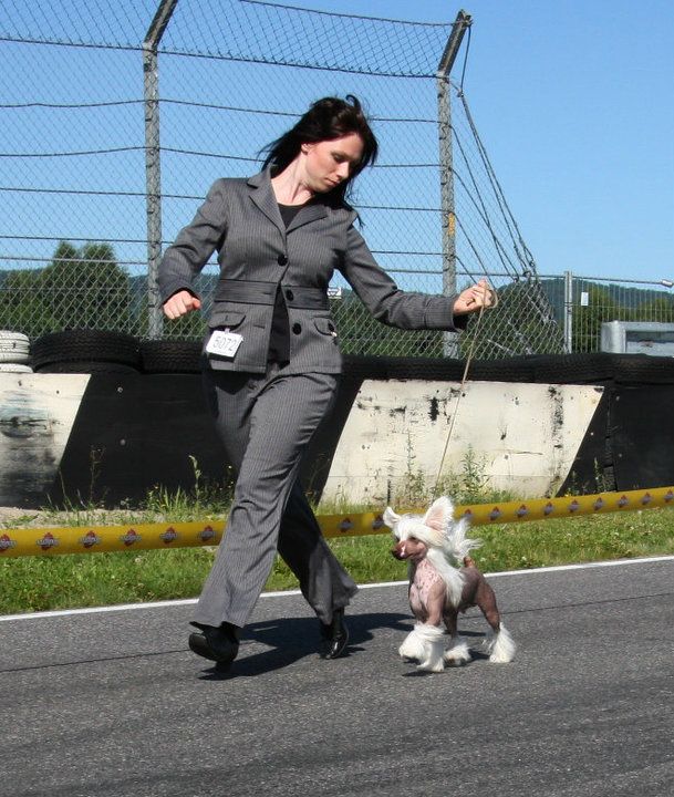 Showplace Elated By Success   