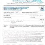 Gotika Ksolo Club iz Zelenoy Roshi