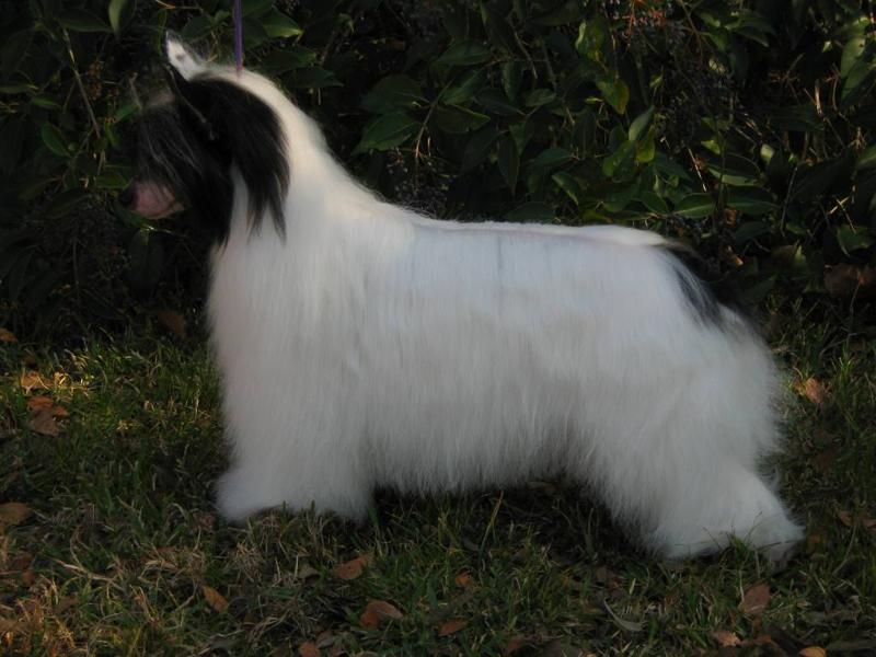 Gracieux Backwoods Barbie