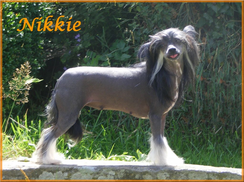 Etoile Noire Du Coeur Des Tenebres