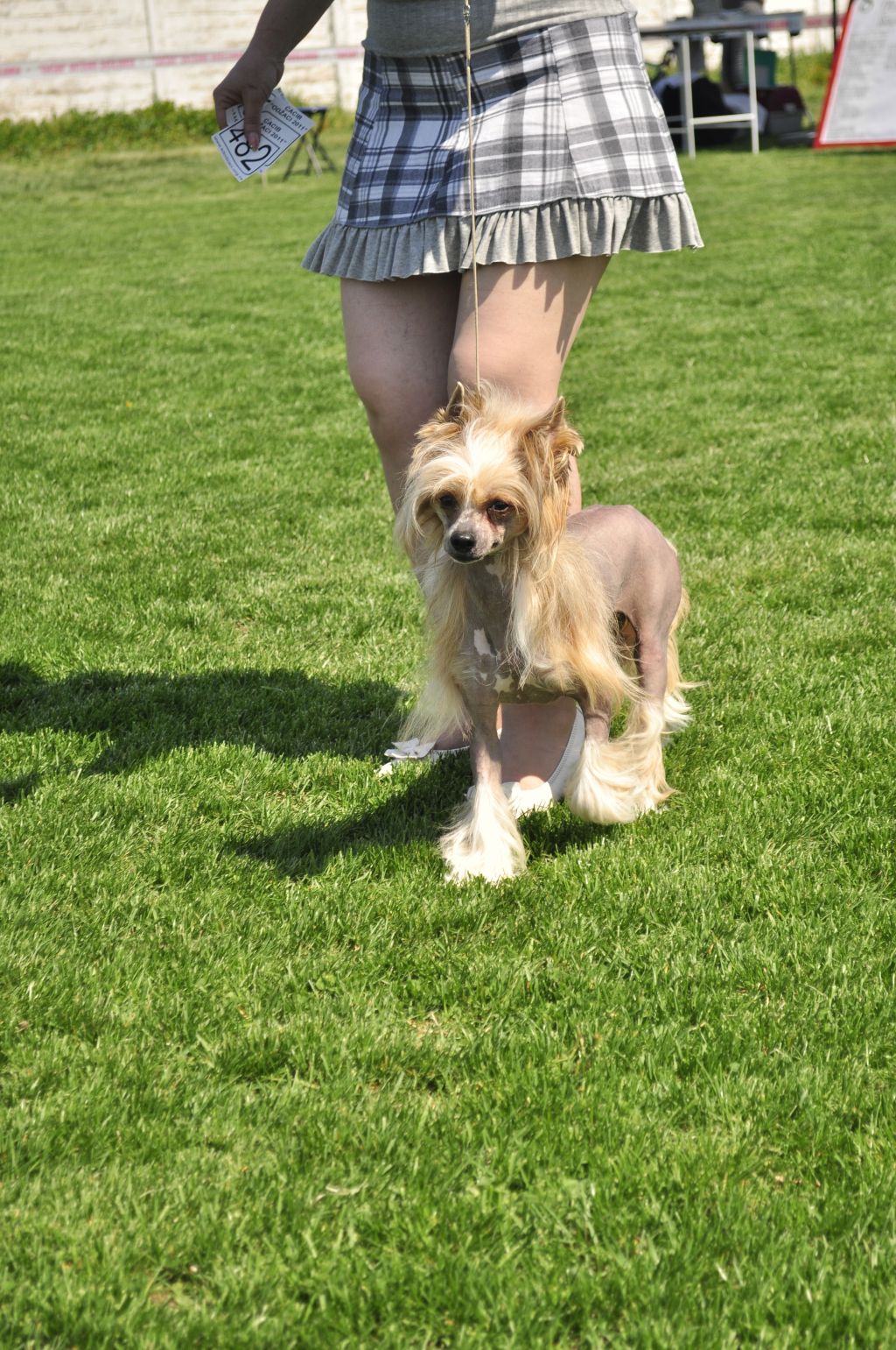 Baker's Field Magic Harmony