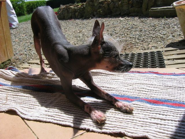 vhei-nhus du val d'éon