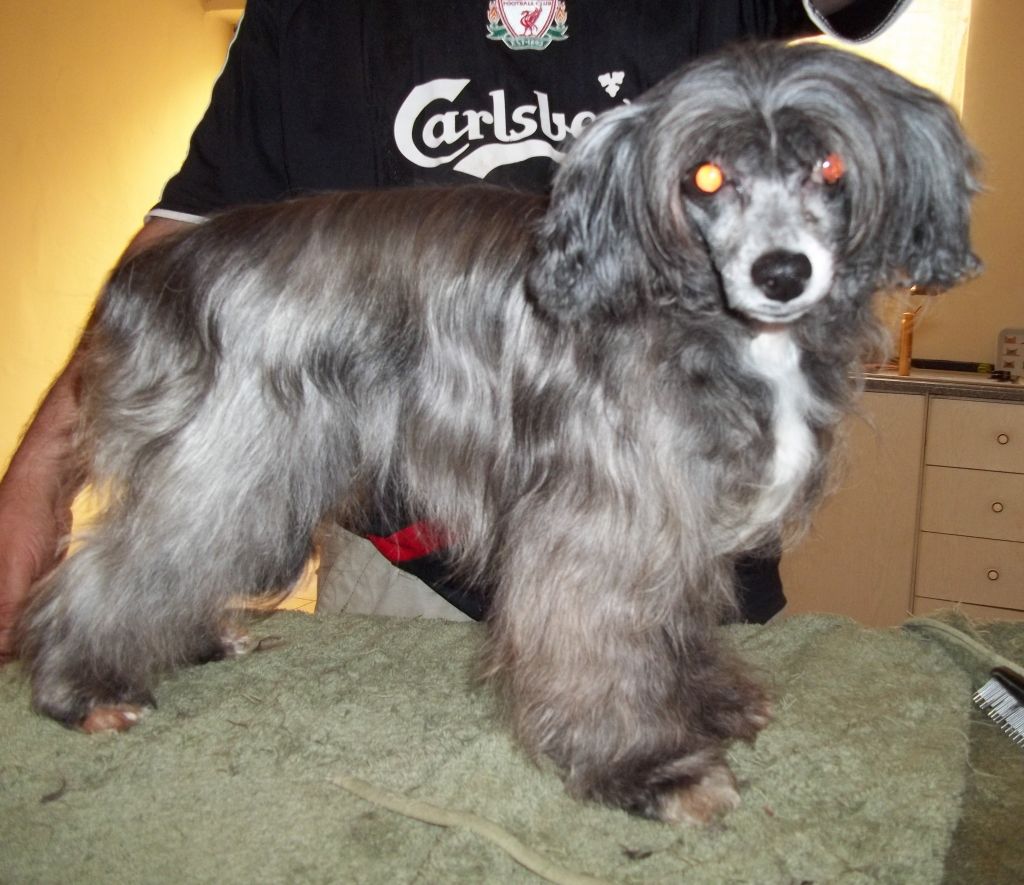 Blandora It's A Newbourne