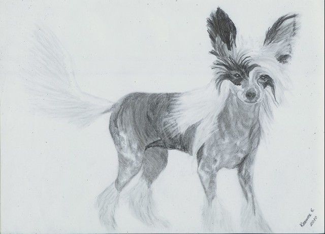 Fundoklia-völgyi Kaszanics Egzotic 