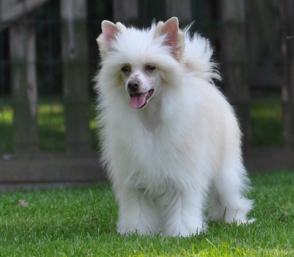 I'm lucky Little Champs