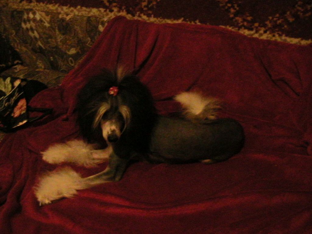 Kamilya Klyuchik Moego Serdza