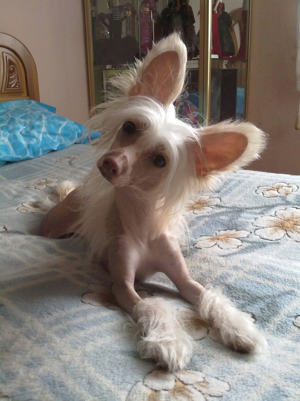 Golden beam of the sun de Almamasan