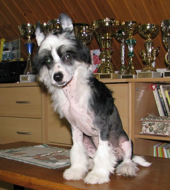 Christian  Cool Lady