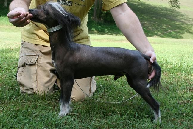 Lesmars Rock u like a Hurricane