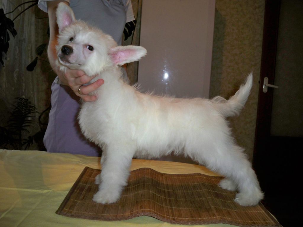 Olegro Katrin Nafanya