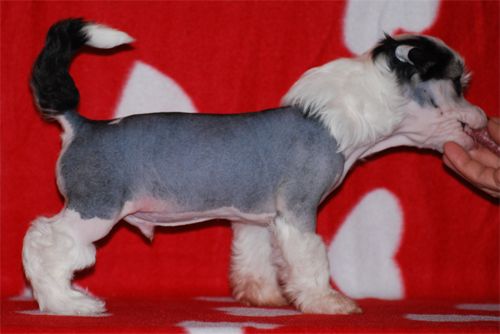 Väråsen Jumpin' Jack Flash