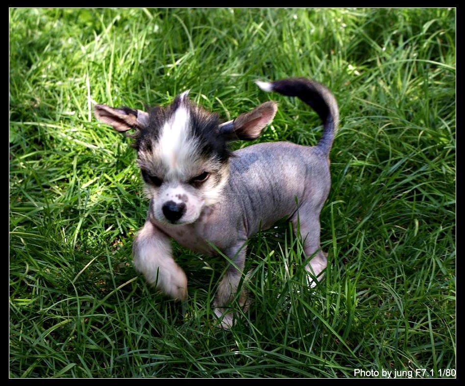 Brandy Mana's Secret's