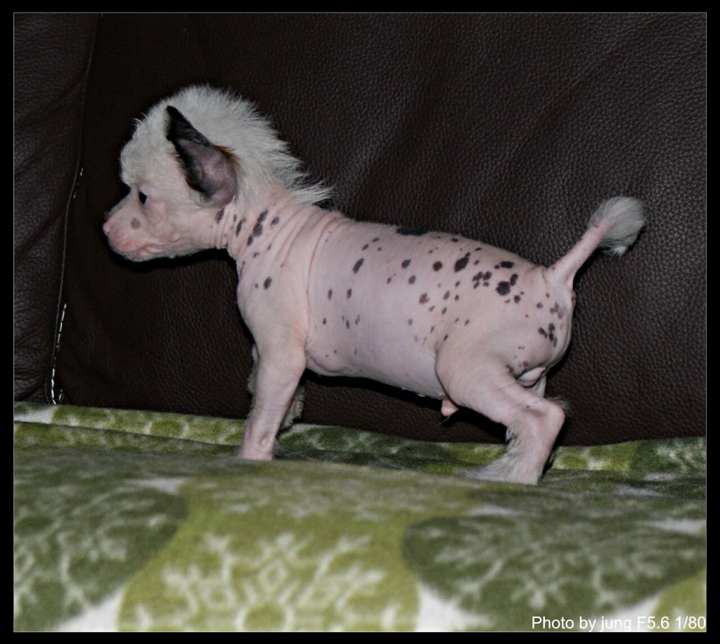 Cracker Mana's Secret's